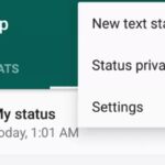 Cómo activar la función de estado de texto de WhatsApp en Android