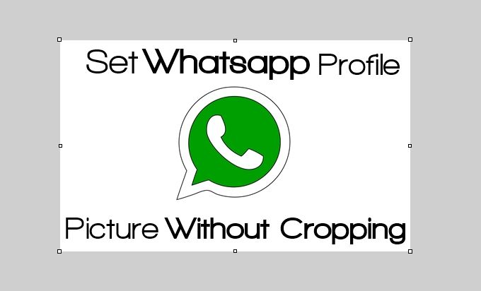 Cómo configurar la foto de perfil de WhatsApp sin tener que recortar en Android o iPhone