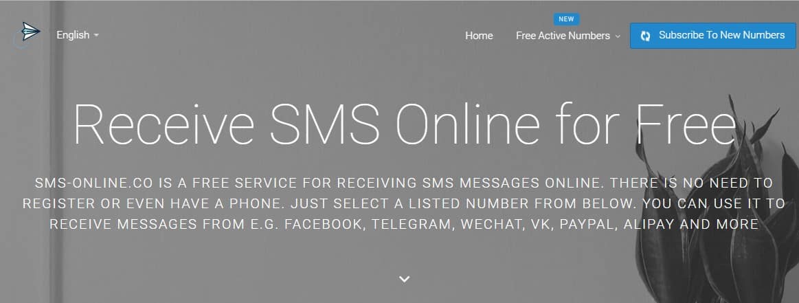 Cómo evitar la verificación de SMS por teléfono en cualquier sitio web/servicio