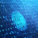 Seguridad biométrica en la cadena de bloques: el futuro de la seguridad en línea